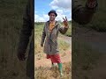 MJENJIWA JIHUMBI UJUMBE WA MGANGA WA JADI DJ MUSA KASEKESE TZ DJ MUSA KASEKESE TZ PRD AUDIO 2026 