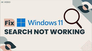 Windows 11 search not working (2025 fix)