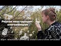 Олигоменорея (редкие месячные)