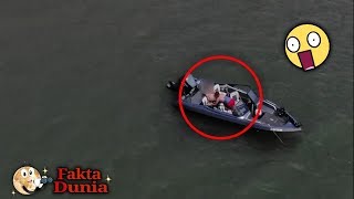 Lagi Enak KUDA-KUDAAN Terekam Drone!! Kejadian Mengejutkan Yang Tak Sengaja Terekam Drone!