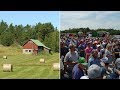 Young man attends auction to buy back family farm: Astonished when entire hall goes dead silent