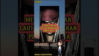 MENGAPA BAJAK LAUT MENGGUNAKAN PENUTUP MATA 🤔 #faktadunia #faktamenarik #facts #misteri #edukasi