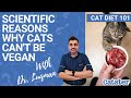 Cats CAN&#39;T be vegan. Here&#39;s why..