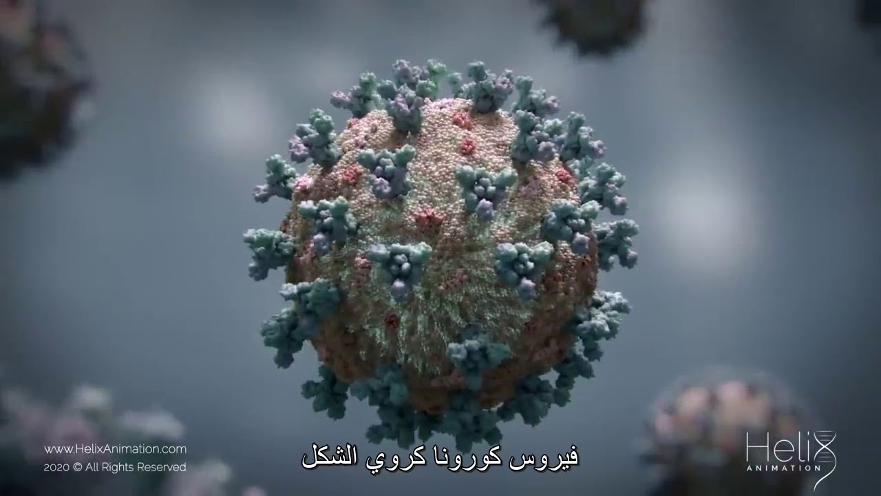 3D Animation SARS CoV 2 virus transmission leading to COVID 19 2 - YouTube