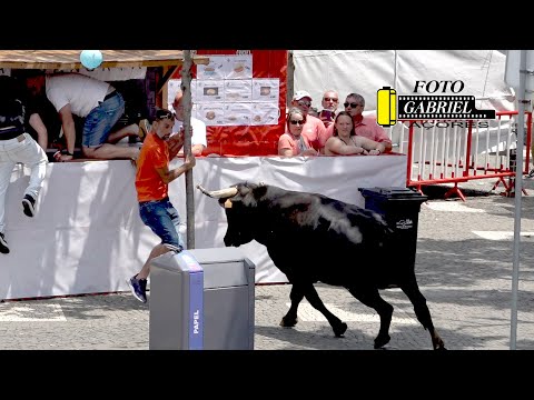 Vídeo: Quem é a urze no rancho?