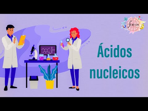 Video: ¿Dónde se encuentran los ácidos nucleicos?