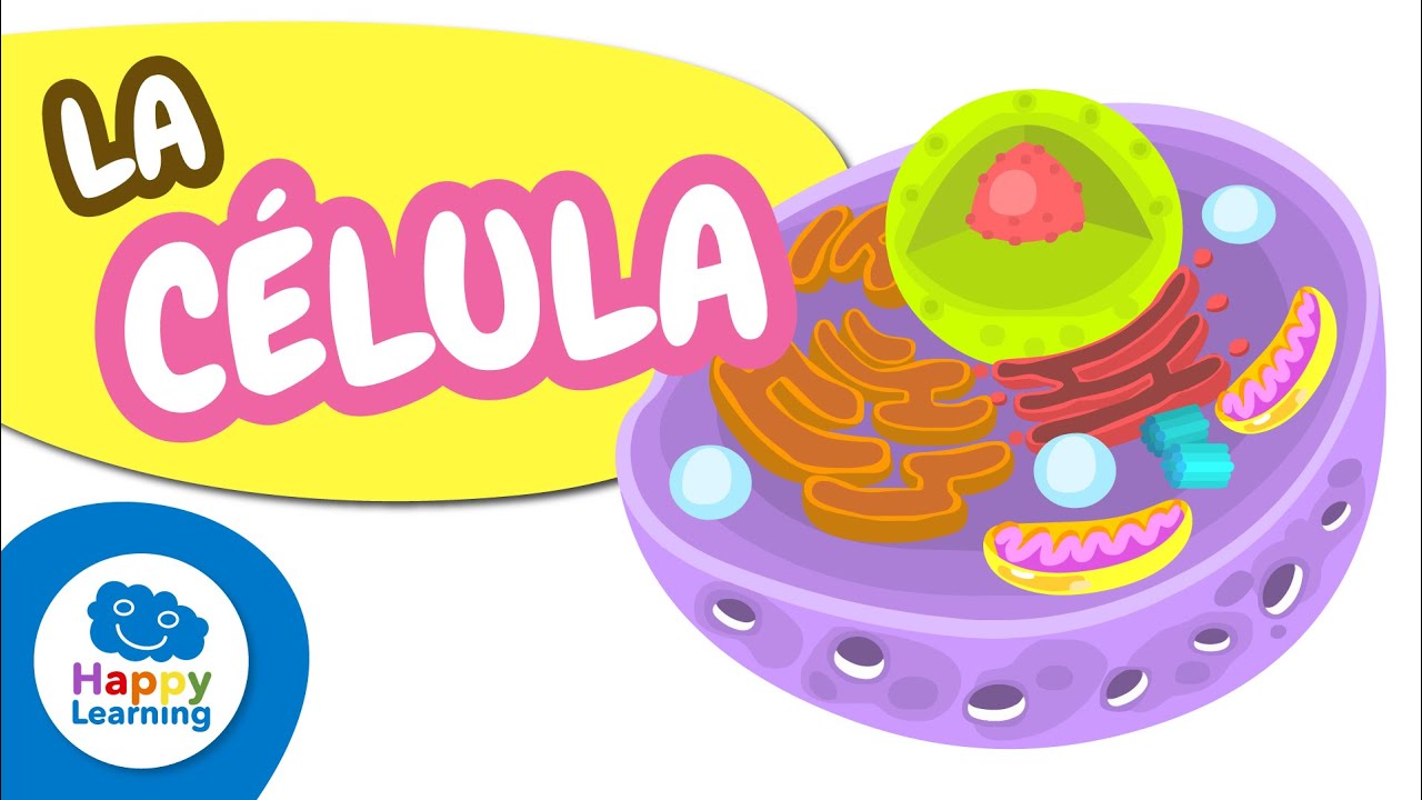 La Célula, Partes y Funciones | Vídeos Educativos para Niños|CIENCIAS NATURALES| @HappyLearningES
