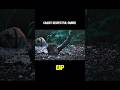 Desperate Jungle Survival Story