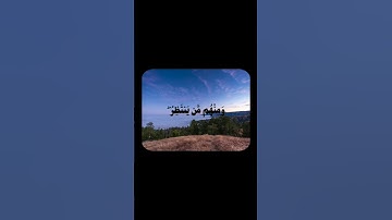 آيات من سورة الاحزاب | القارئ بدر التركي #قران_كريم #quran #قرآن #بدر_التركي