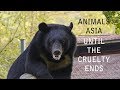 Animals Asia : until the cruelty ends