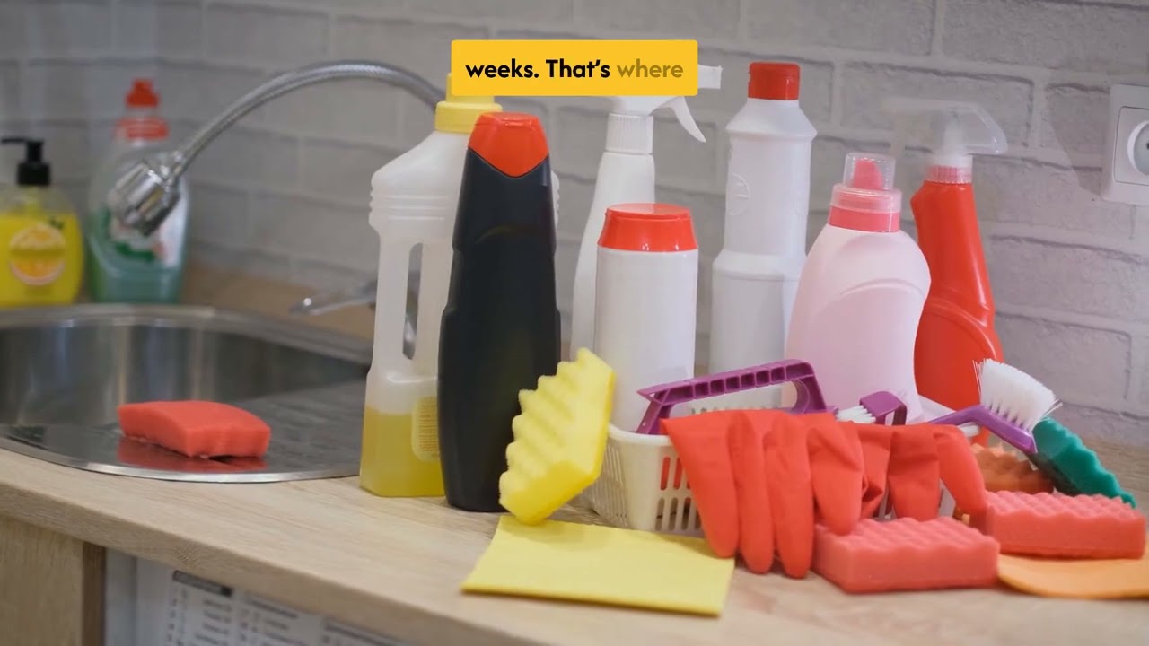 How to Prepare a Homemade Enzyme Cleaner for Dog Urine | End Of Lease Cleaners