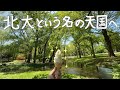 【札幌の天国】北海道大学へ