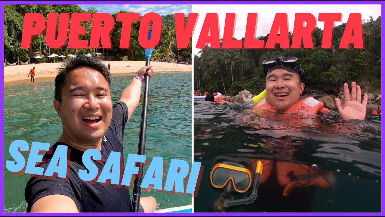 sea safari puerto vallarta reviews