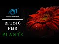 Music for Plants! 🌱 Plant Growth Music! - Maximize Your Plants Potential and Overall Health!