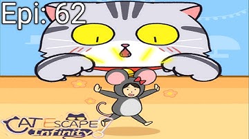 Cat escape infinity Hide & Seek Episode 62