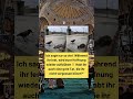 Unglaublich! Was man aus 5 Dollar machen kann 🎨💵 #shorts #kunst #kreativ #dollar #zeichnen