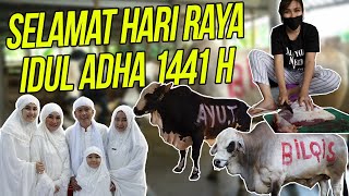 AYU SAMPAI TURUN TANGAN SAAT PEMOTONGAN DAGING QURBAN