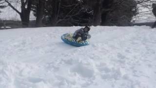Young Boy Falls While Sledding