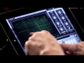ANIMOOG - Timbres