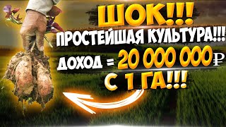 Заработок 200 000 рублей с одной сотки за сезон!!! Очень,очень выгодное выращивание!!!