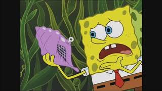The Magic Conch Shell