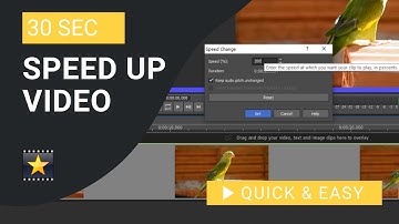 VideoPad Tutorial: How to Speed Up Video in VideoPad