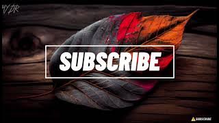 ANGGA CANDRA FT ADY EX NAFF - TERENDAP LARAKU #fyp #lirikmusik #lyricvideo