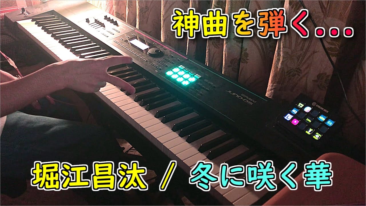 【ピアノ】『冬に咲く華』弾いてみた。【彼女のセイイキ】