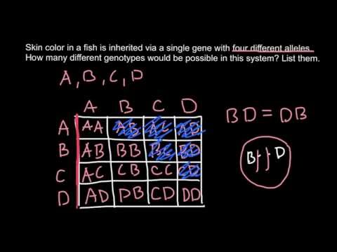 How to Calculate Allelic Combinations