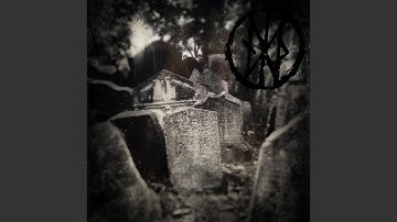 Between the Dead and Dying (feat. Xenoyr)