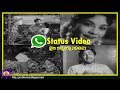 WhatsApp Status Videos 10