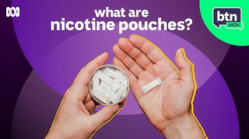 Zyns, Snus, the Dangers of Nicotine Pouches - BTN High