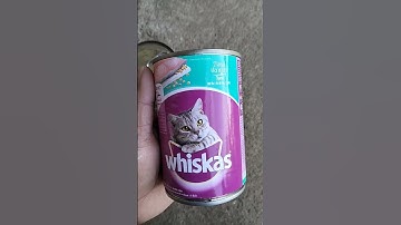 MAKANAN KUCING BASAH KALENG | WHISKAS TUNA AND OCEAN FISH TO ADULT#shorts