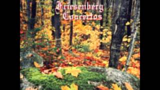 Eric Friesen - Winter Concerto for Guitar in F minor (Allegro) - Vivaldi