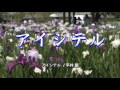 アイシテル/平井 堅【オルゴール】