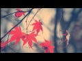 Beethoven  violin romance no 2 op 50  autumn leaves 