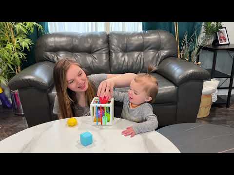 Review of Montessori Toys for 1 2 Year Old, Baby Sorter Toy Colorful Cube