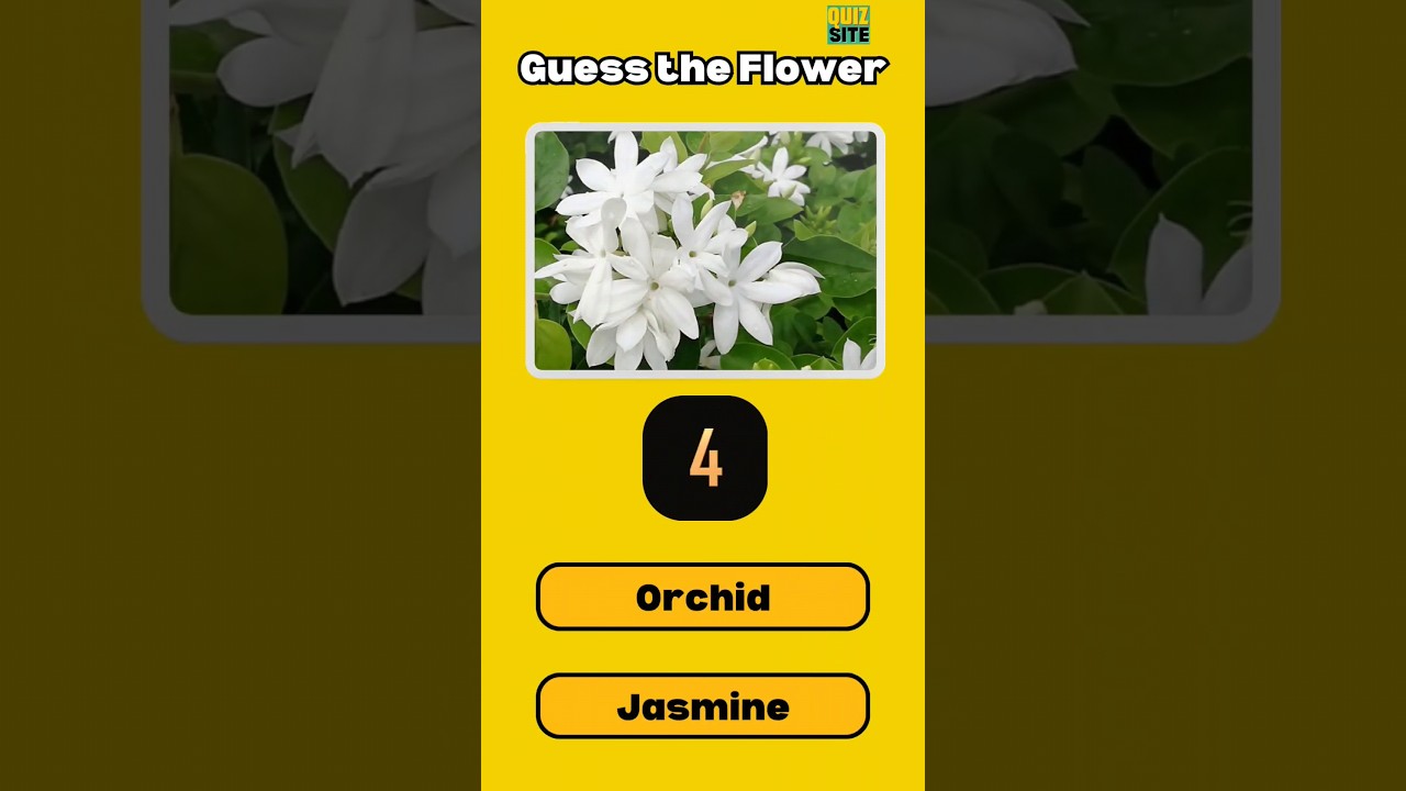 Guess the Flower! 