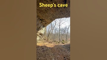 Inside sheep’s cave #spelunking #cave #caves