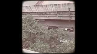Vintage 8mm Video Camera (Android Application) screenshot 3