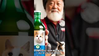 당신이 몰랐던 고양이의 비밀