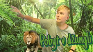 POBYT V DIVOČINĚ | koupání v dešti, noční Safari, lvi