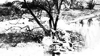 Brood in Black - Journey into the Shadows