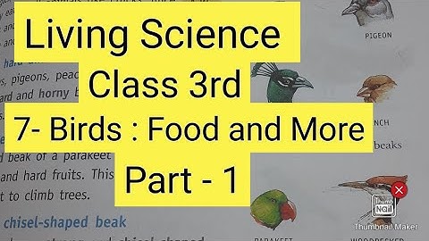 Class 3rd || Living Science || 7 - Birds : Food and More || Part - 1