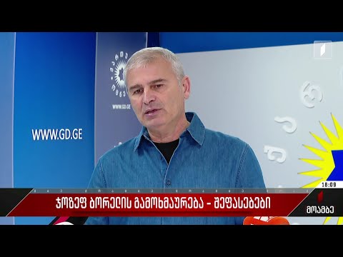 ჯოზეფ ბორელის გამოხმაურება - შეფასებები პოლიტიკურ სპექტრში