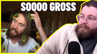 Celebrity Vaush Mentions Asmongold's Cockroach Situation And Then Talks About Bugs Rats And Rodents Wealth