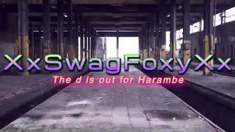 Intro for XxSwagFoxyXx