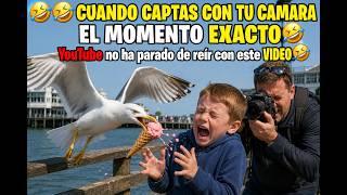 🤣🤣CUANDO CAPTAS CON TU CAMARA EL MOMENTO EXACTO🤣 YouTube no ha parado de reír con este VIDEO🤣#funny