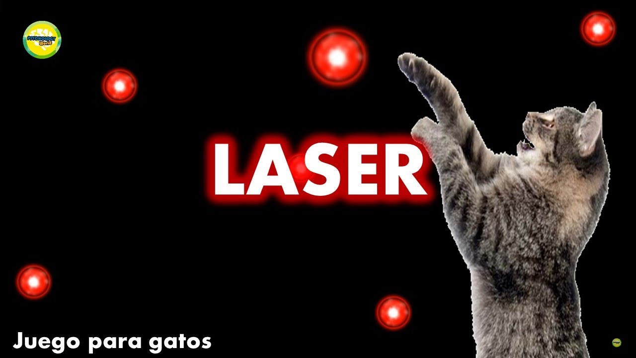 callejón Sofocar ballet Videos para #gatos - #Laser - YouTube