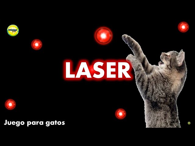 Videos para #gatos - #Laser 